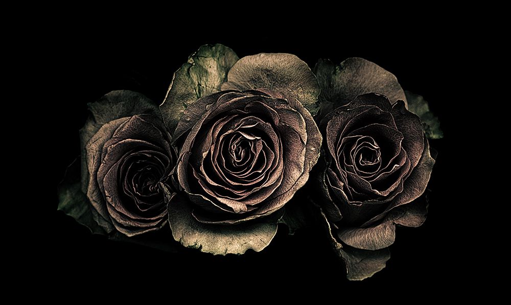 Roses art print by Angel Julie for $57.95 CAD