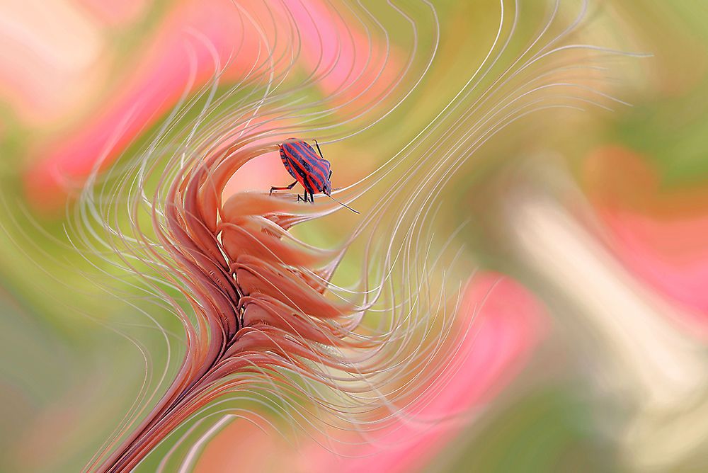 Color Storm... art print by Thierry Dufour for $57.95 CAD