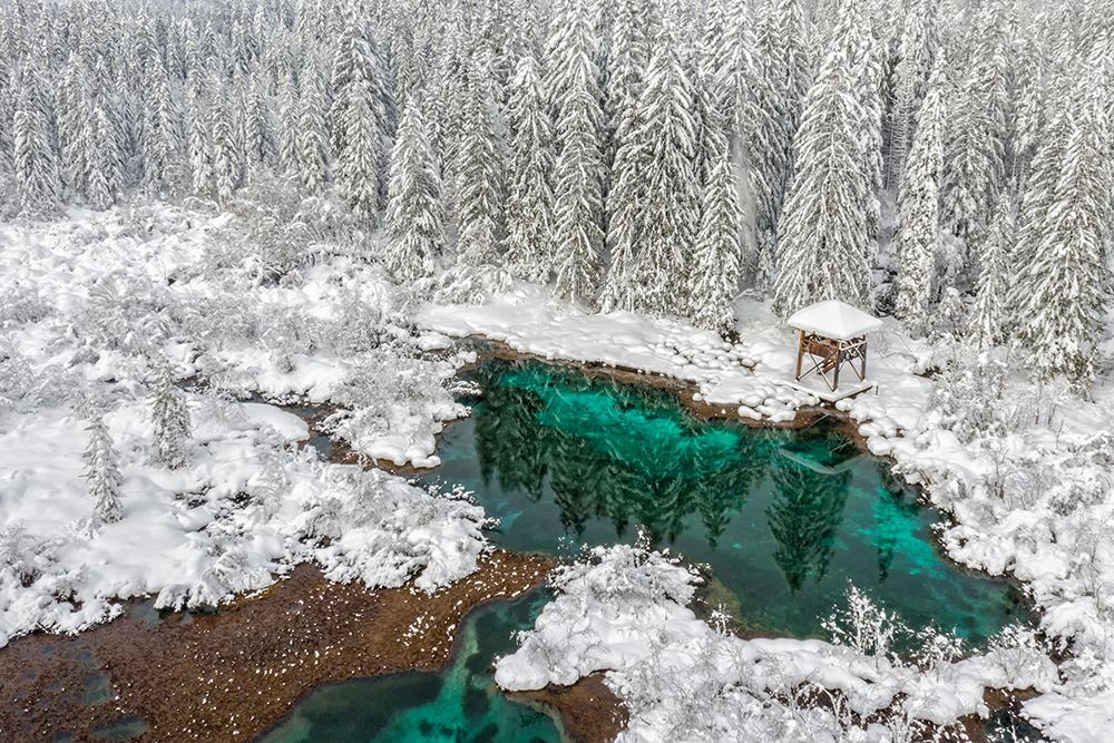 Winter Fairytale. art print by Peter Balantic for $57.95 CAD