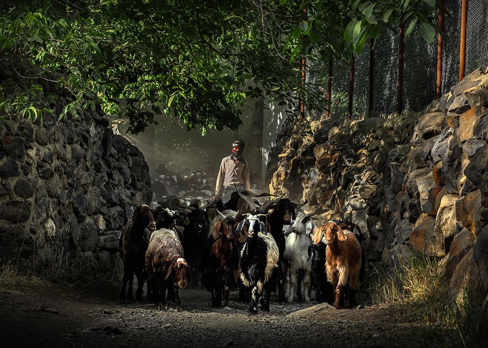 Nomads art print by Mitra Bahmani for $57.95 CAD