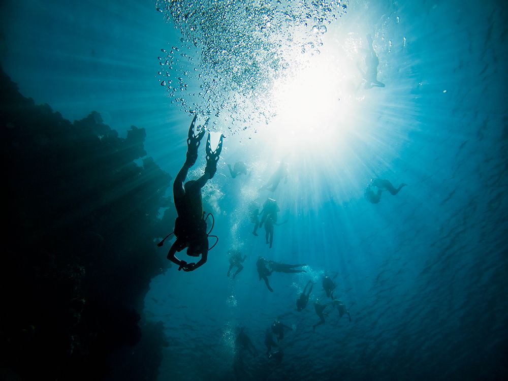 Underwater Party art print by Ido Meirovich for $57.95 CAD