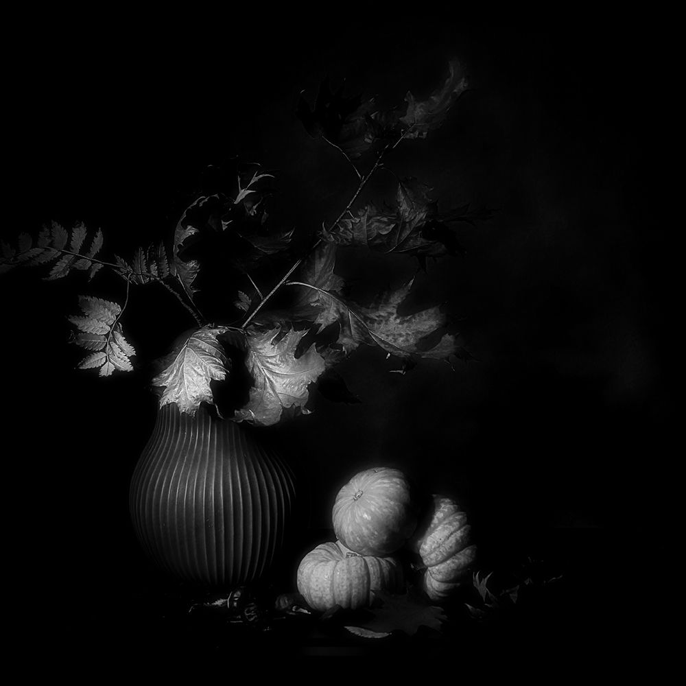 Autumn Memory. art print by Saskia Dingemans for $57.95 CAD