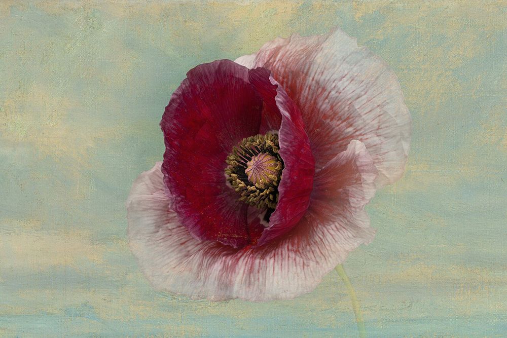 Burgundy Bonnet art print by Richard Urbanski for $57.95 CAD