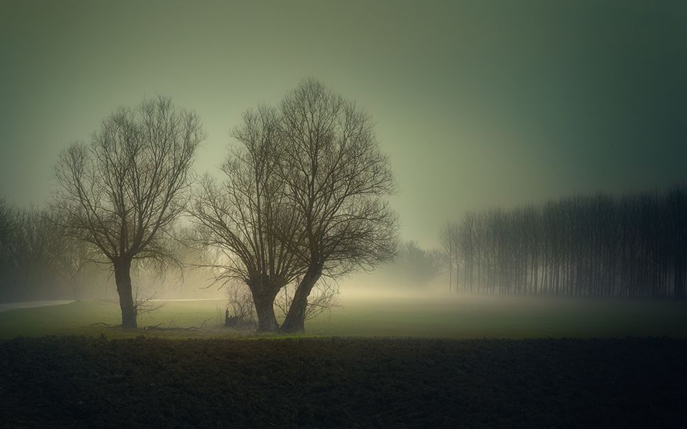 Morning Lights art print by Tommaso Pessotto for $57.95 CAD