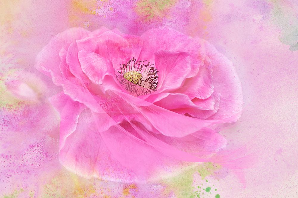 Twirl art print by Jacky Parker for $57.95 CAD