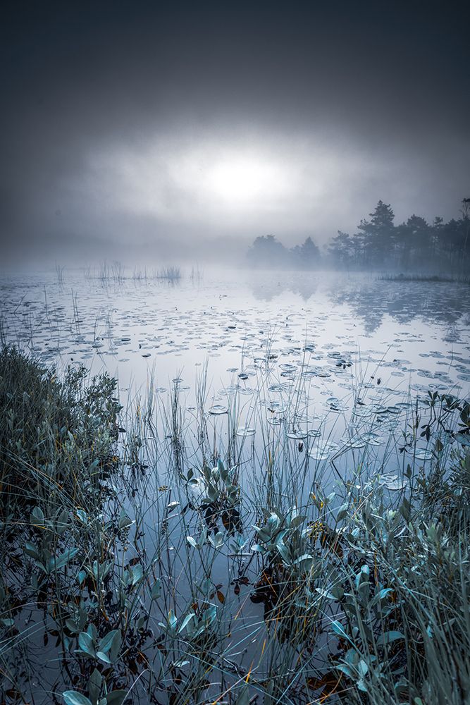 Scandinavian Morning art print by Benny Pettersson for $57.95 CAD