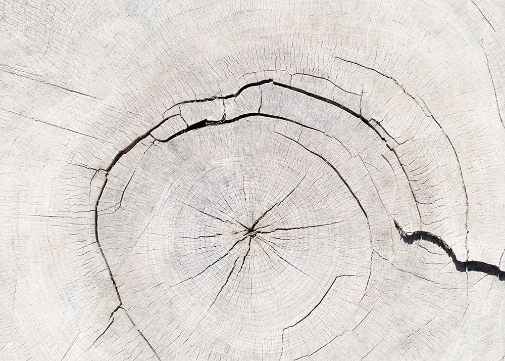 Texture 05 art print by 1x Studio III for $57.95 CAD