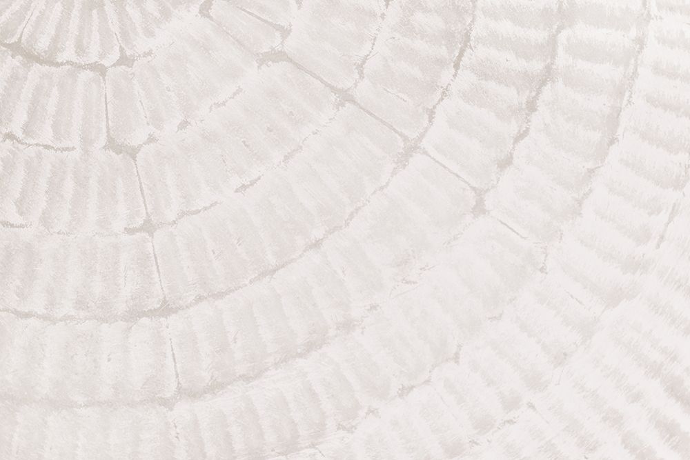 Texture 06 art print by 1x Studio III for $57.95 CAD