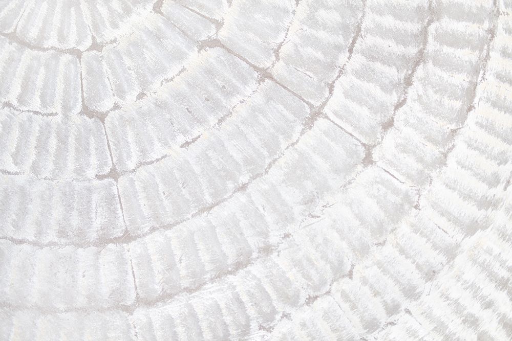 Texture 07 art print by 1x Studio III for $57.95 CAD