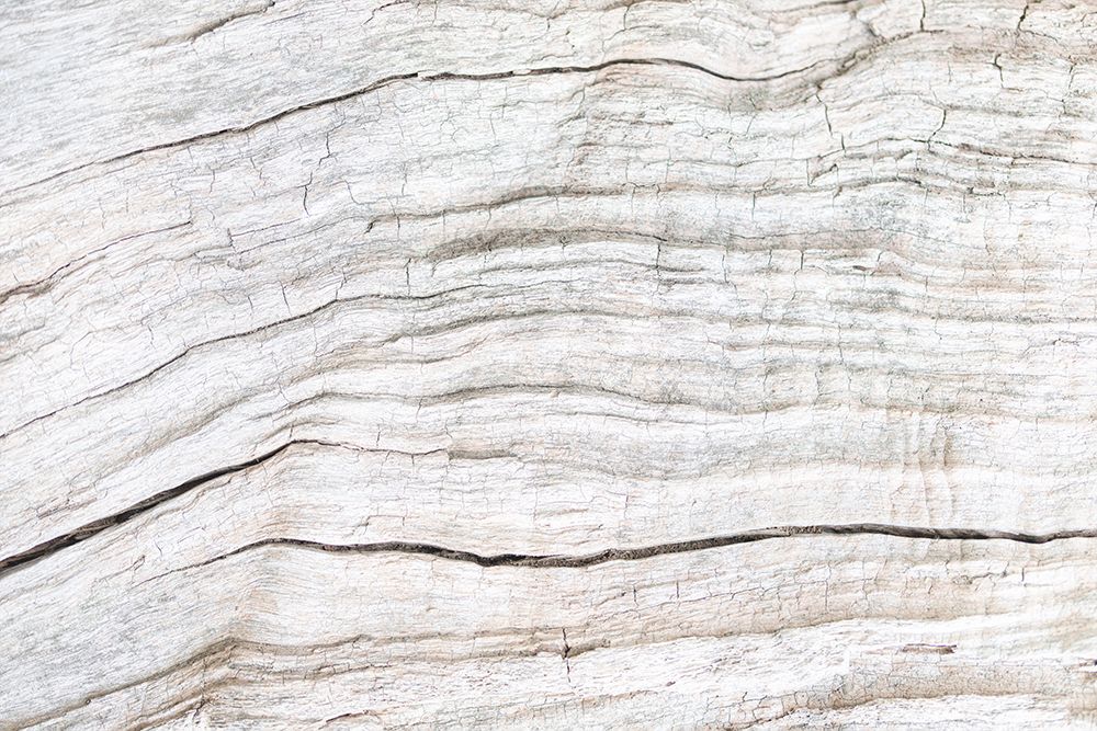Texture 08 art print by 1x Studio III for $57.95 CAD