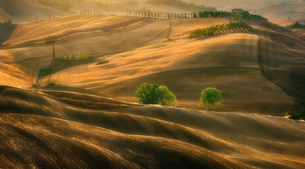 Fields... art print by Krzysztof Browko for $57.95 CAD