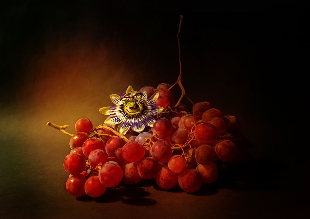 Red Grapes And Passion Flower art print by Ludmila Shumilova for $57.95 CAD