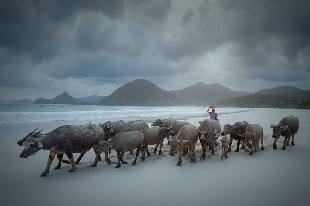 Selong Belanak Beach art print by Octavandy for $57.95 CAD