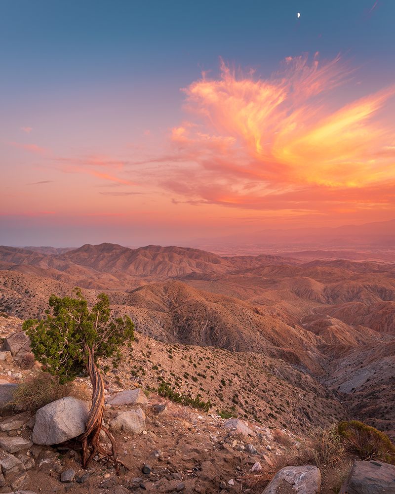 Desert Sunset art print by Syed Iqbal for $57.95 CAD