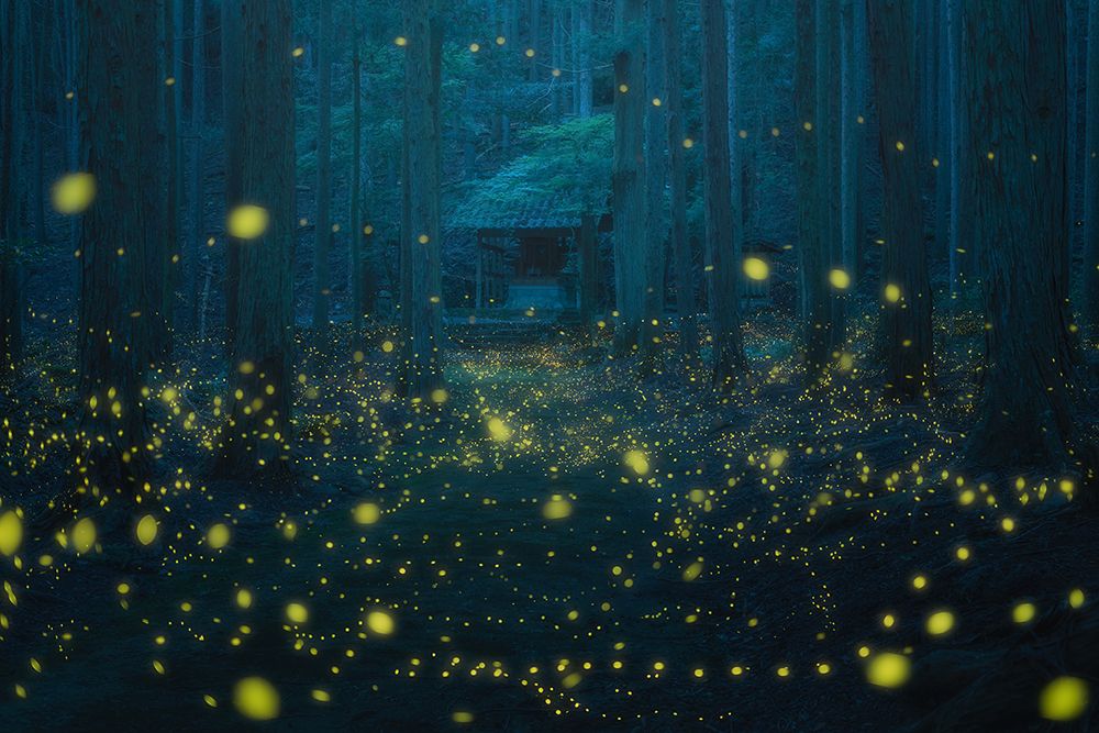 Night In The Shrine art print by Vu van quan for $57.95 CAD