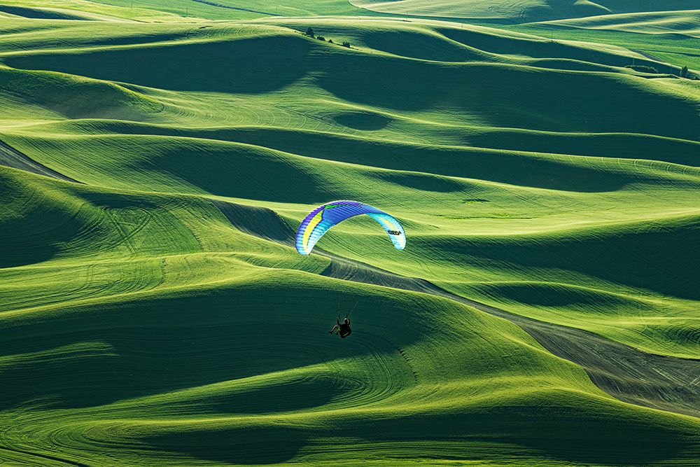 Flying art print by Tony Xu for $57.95 CAD
