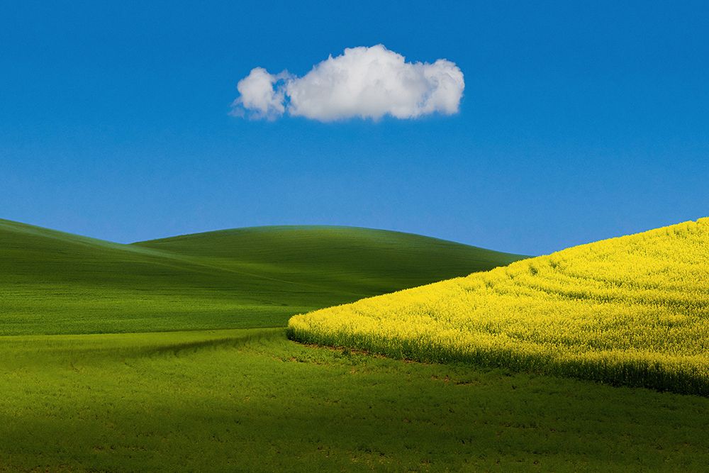 Field Tone art print by Tony Xu for $57.95 CAD