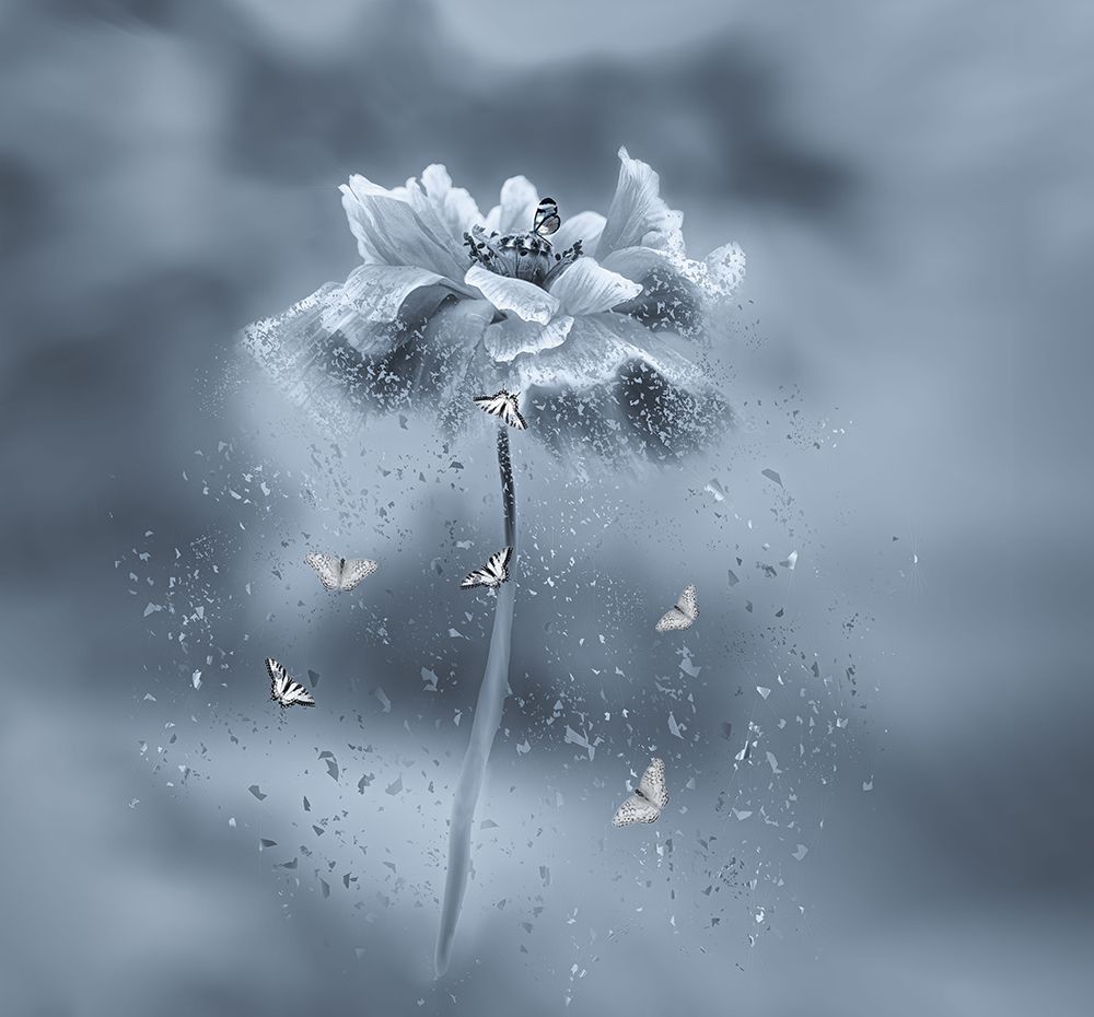Dancing flower art print by Gu And Hongchao for $57.95 CAD