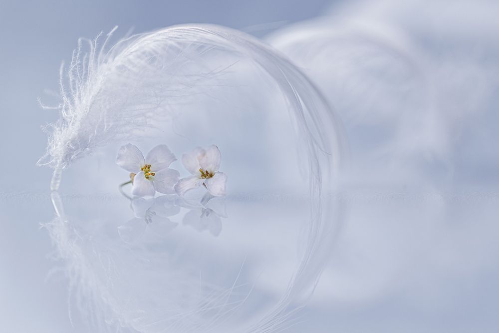 Peacefulness art print by Igor Kopcev for $57.95 CAD
