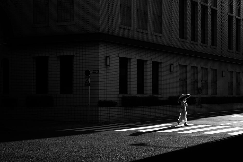 Afternoon Sun art print by Satoshi Hata for $57.95 CAD