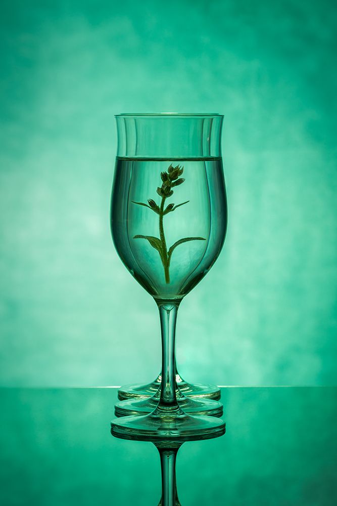 Green Glass art print by Azriel Yakubovitch for $57.95 CAD