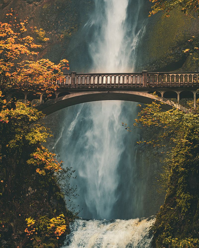 RIVendell Irl art print by Behdad Pournader for $57.95 CAD