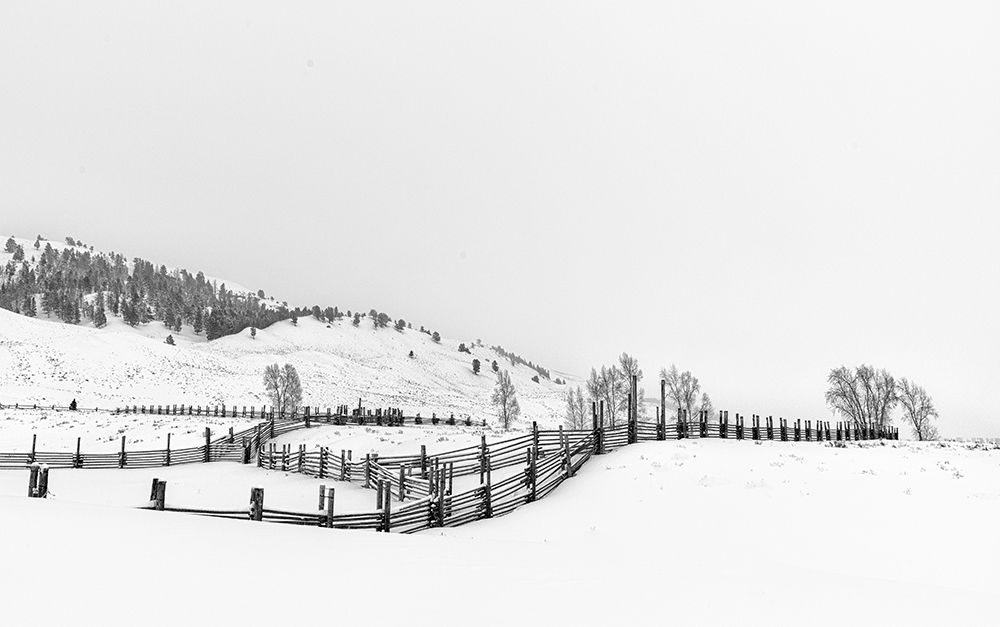 After Snow art print by Louise Xie for $57.95 CAD