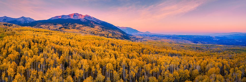 Concert Of Autumn art print by John Fan for $57.95 CAD