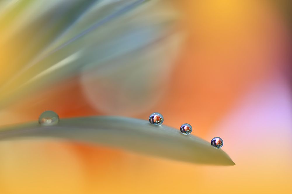 A Colorful World...III art print by Juliana Nan for $57.95 CAD