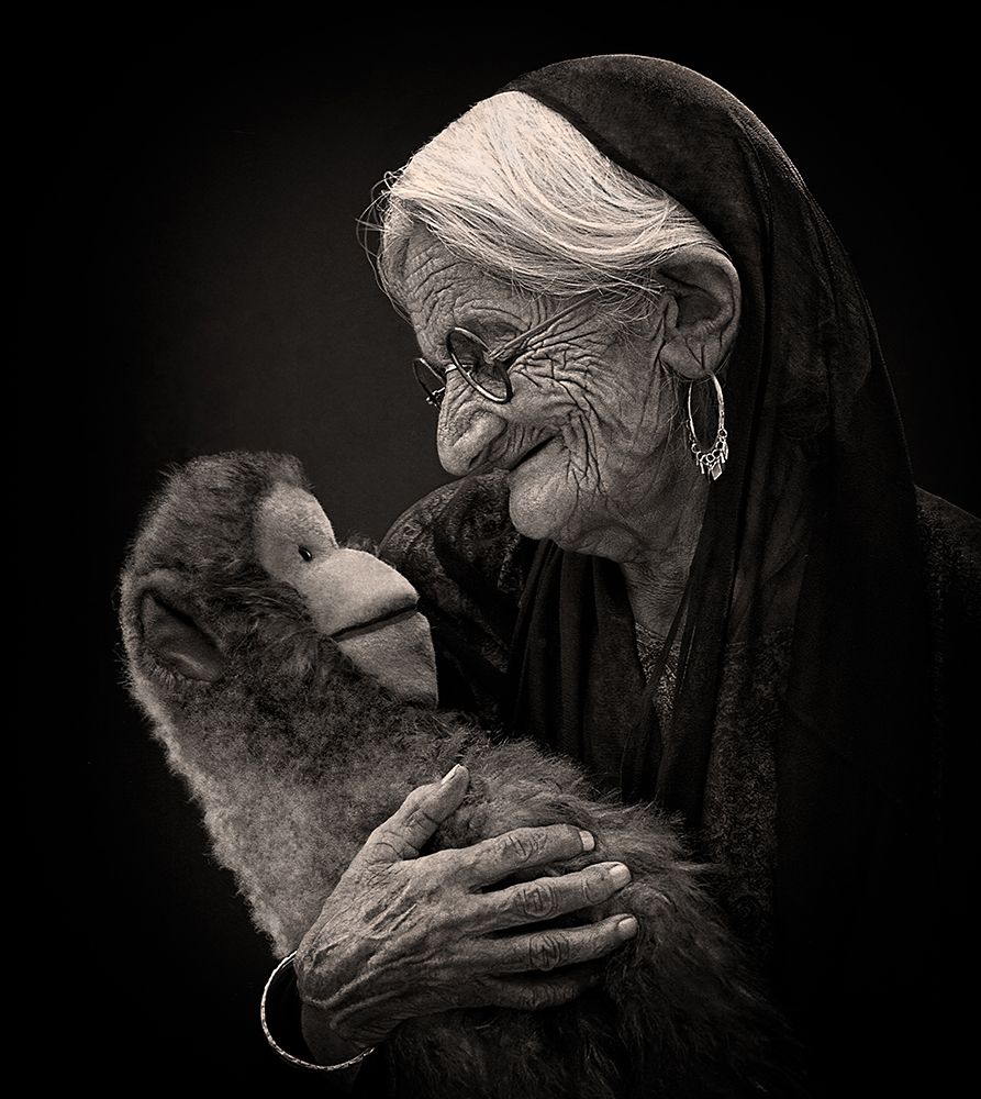 Companions art print by Sayyed Nayyer Reza for $57.95 CAD