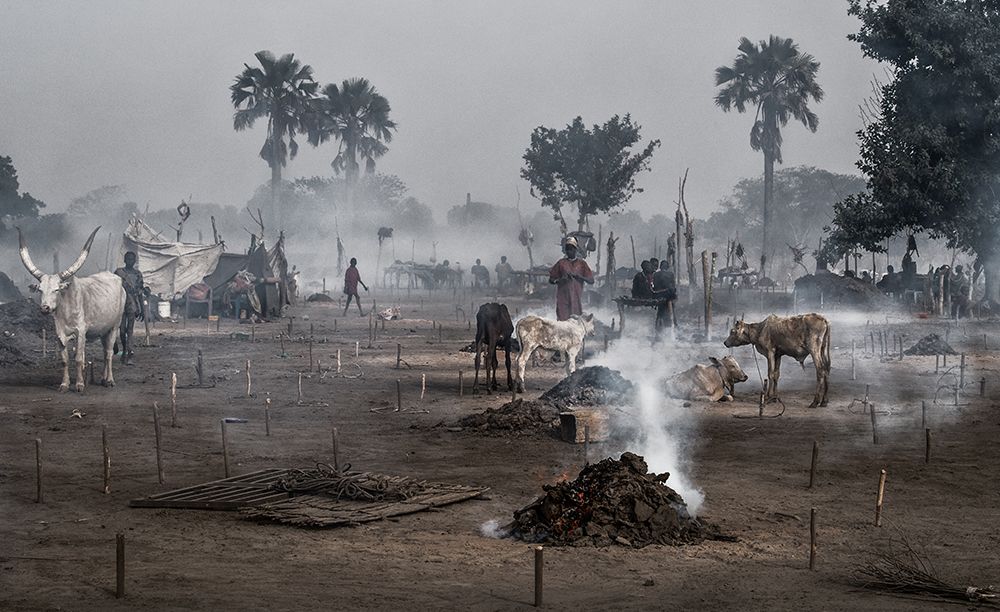 Life In A Mundari Cattle Camp - South Sudan art print by Joxe Inazio Kuesta for $57.95 CAD