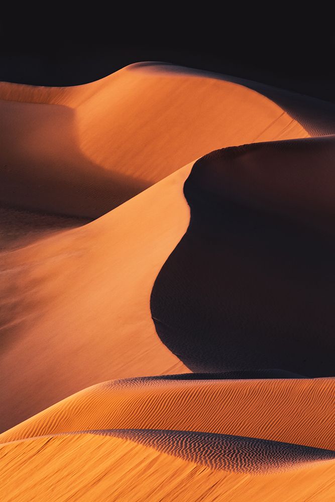 Sand Dunes under the Morning Sun art print by Jenny Qiu for $57.95 CAD