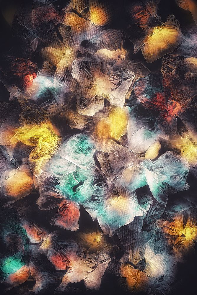 Scattered orchids art print by Ludmila Shumilova for $57.95 CAD