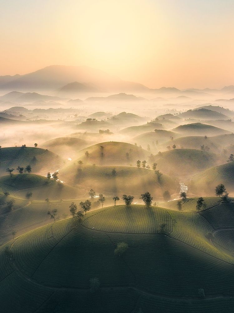 Long Coc Tea Hill art print by Nguyen Tan Tuan for $57.95 CAD