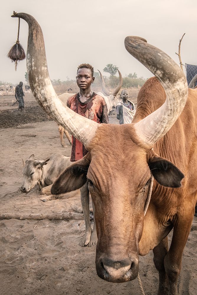 Another Life art print by Trevor Cole for $57.95 CAD