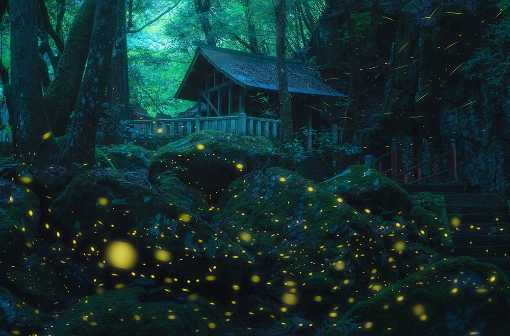 Night In The Shrine art print by Vu van quan for $57.95 CAD