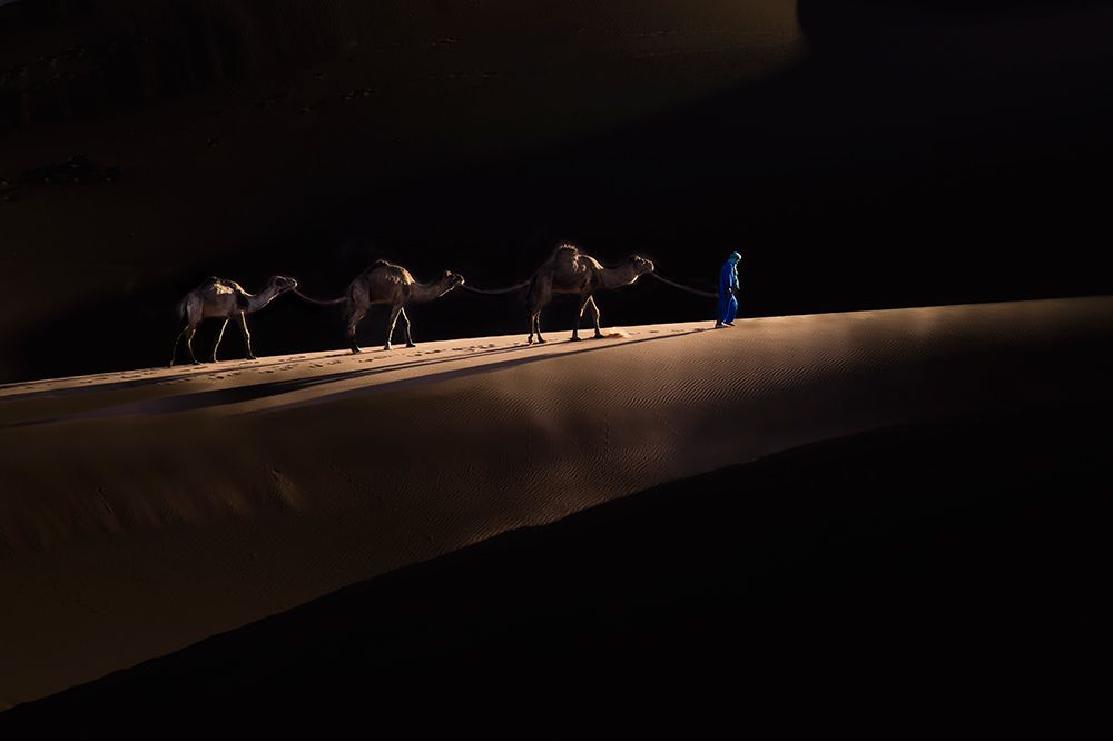 The Camels art print by Sally Widjaja for $57.95 CAD