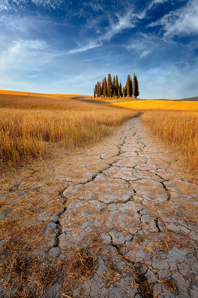 Path Of Cracks art print by Richie Hatch for $57.95 CAD