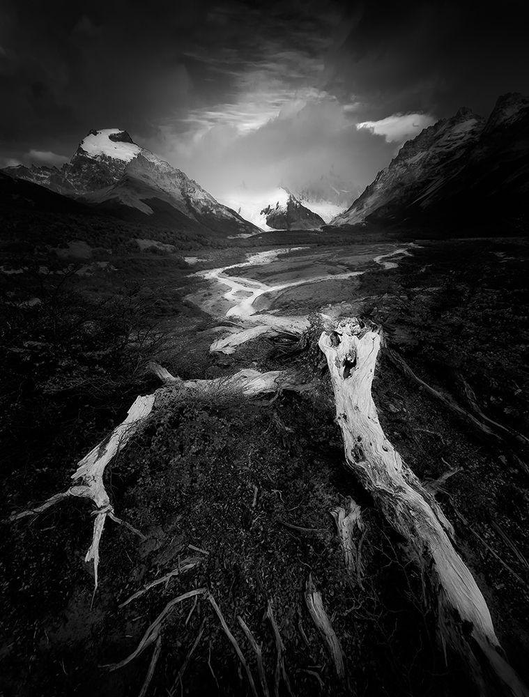 The Wild art print by Bing Li for $57.95 CAD