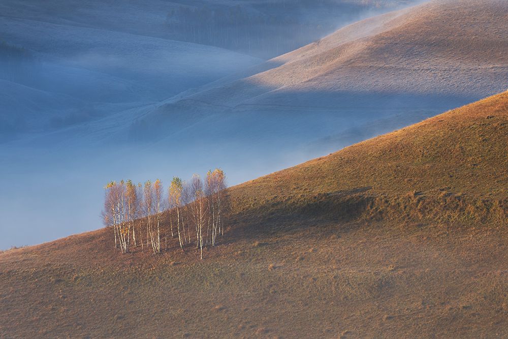 Chromatic Sunrise art print by Alexandru Ionut Coman for $57.95 CAD