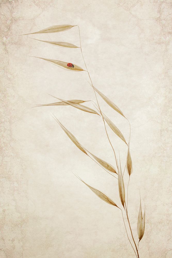 The Tenant art print by Cicek Kiral for $57.95 CAD