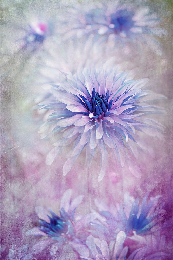 Reflective art print by Jacky Parker for $57.95 CAD
