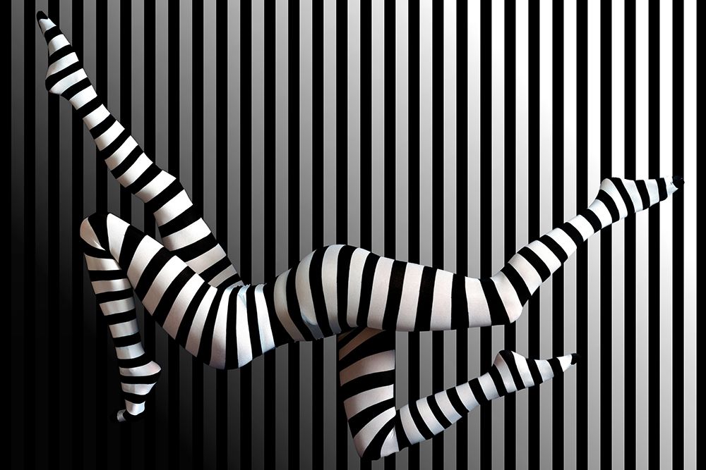 Novelty Striped Four-Leggs No 2 art print by Erhard Batzdorf for $57.95 CAD