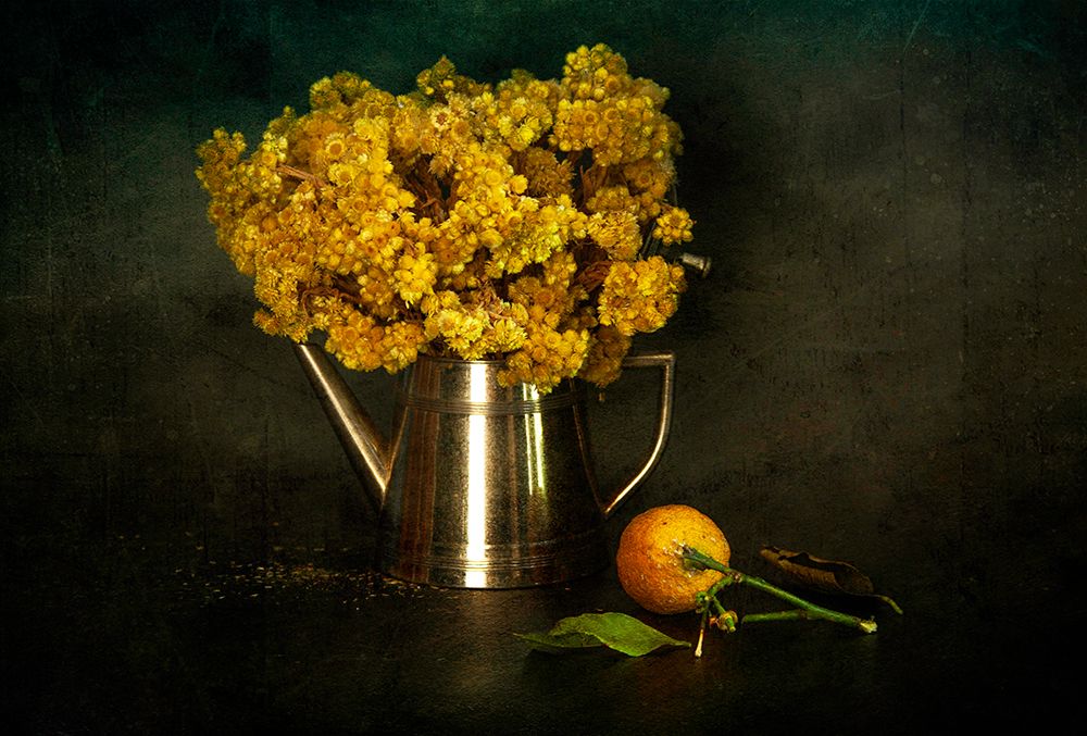 Helichrysum Arenarium/Altapn Otu art print by Ramiz Sahin for $57.95 CAD