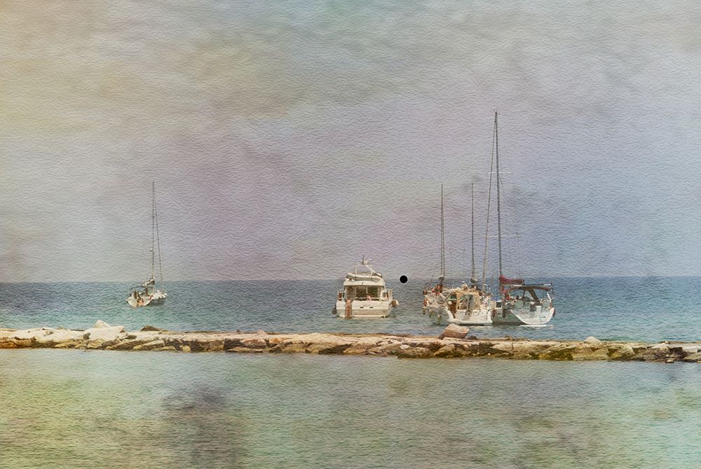 Bari art print by Monique Gilleman for $57.95 CAD
