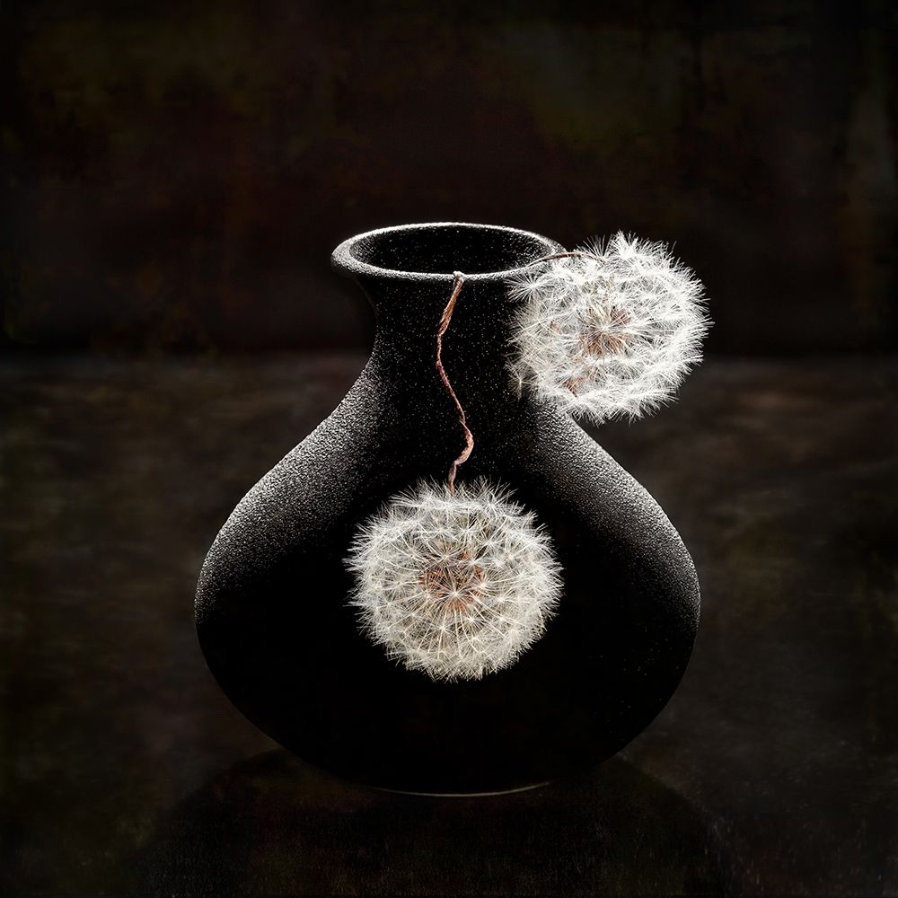 Plush Balls art print by Mia Meng for $57.95 CAD