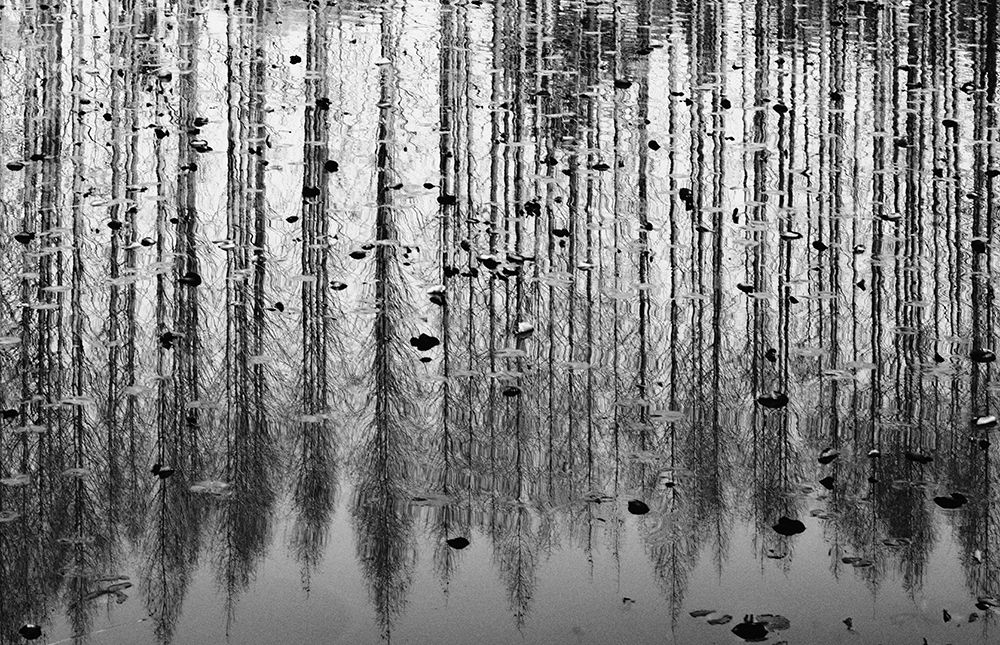 tall reflection art print by Youngil Kim for $57.95 CAD