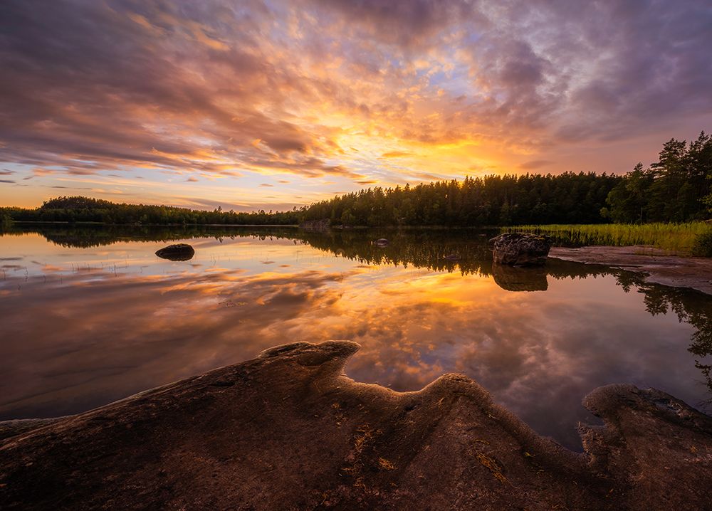 Forest Lake art print by Christian Lindsten for $57.95 CAD