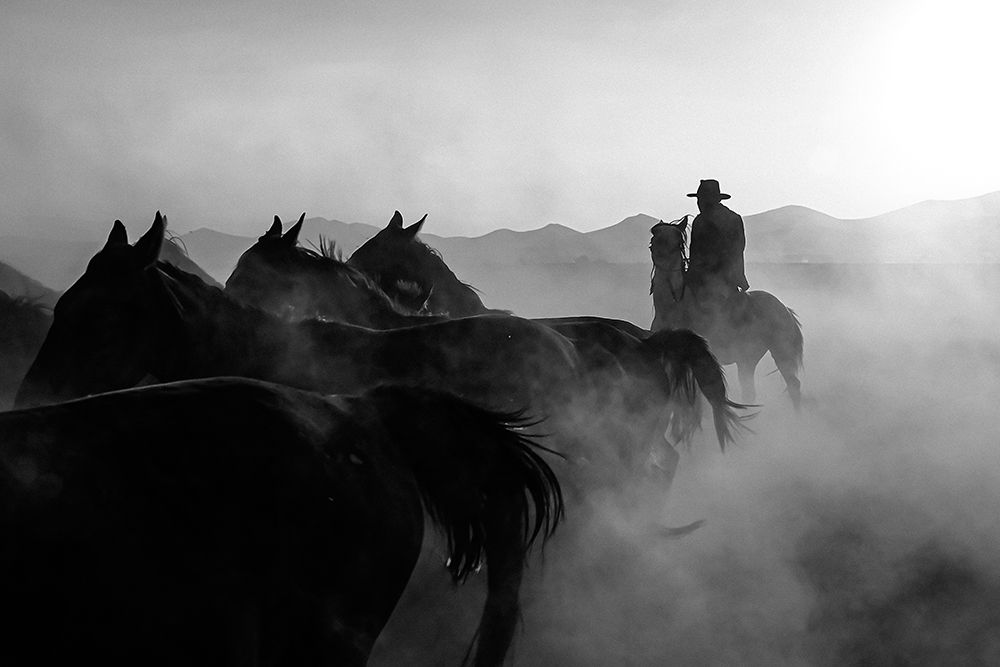 horses art print by Zuhdu Bilgin for $57.95 CAD