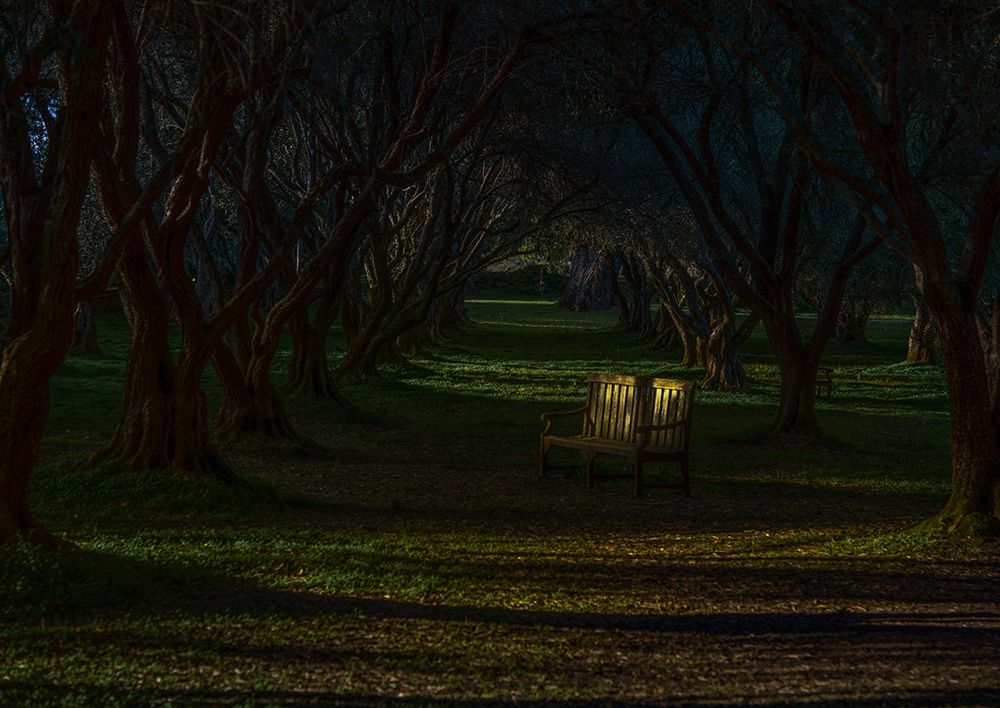Empty Chair art print by Judy Tseng for $57.95 CAD